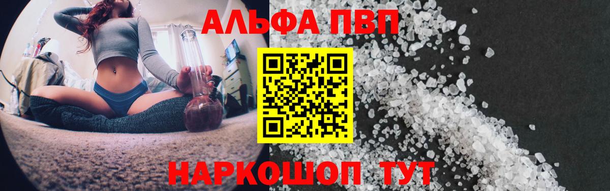 Альфа ПВП СК Санкт-Петербург